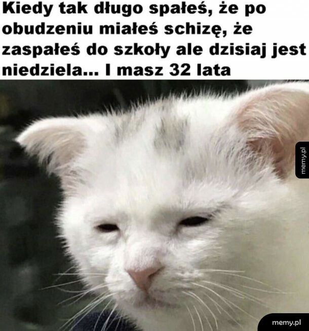 Jak dobrze, że tylko się wydawało