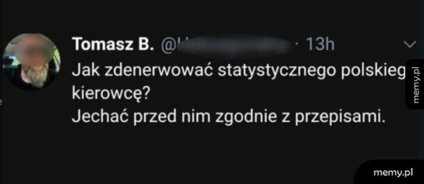 Zdecydowanie