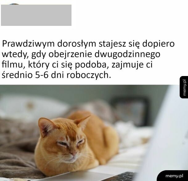 Dorosłość