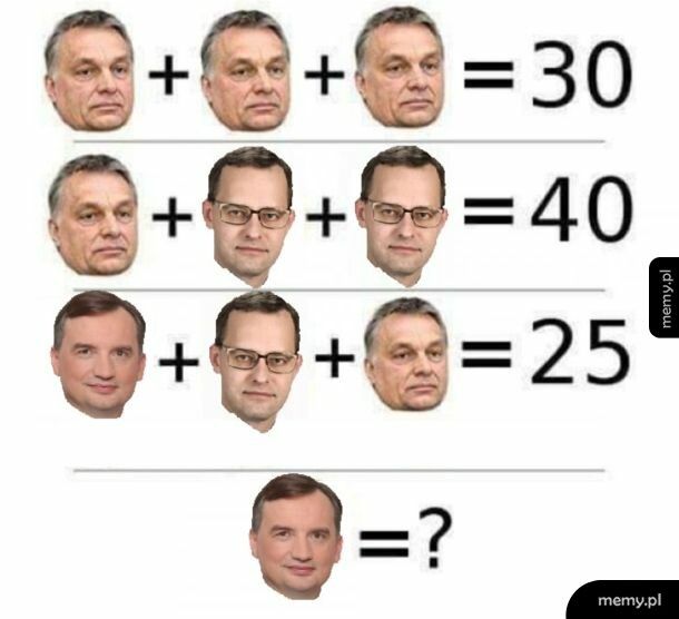 Prawdziwy memiarz wie po pierwszym rzucie oka