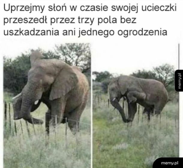 Miło z jego strony