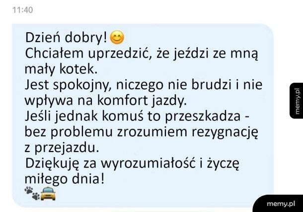 Taksówkarz z kotkiem