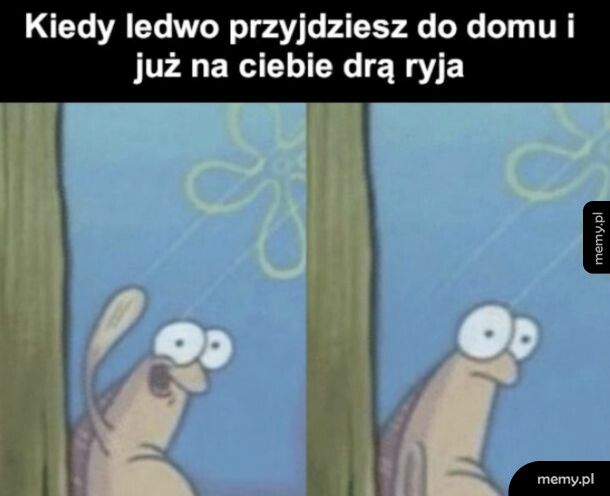I to by było na tyle dobrego humoru