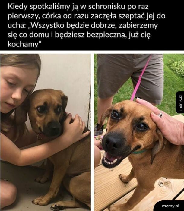 Miłość od pierwszego wejrzenia