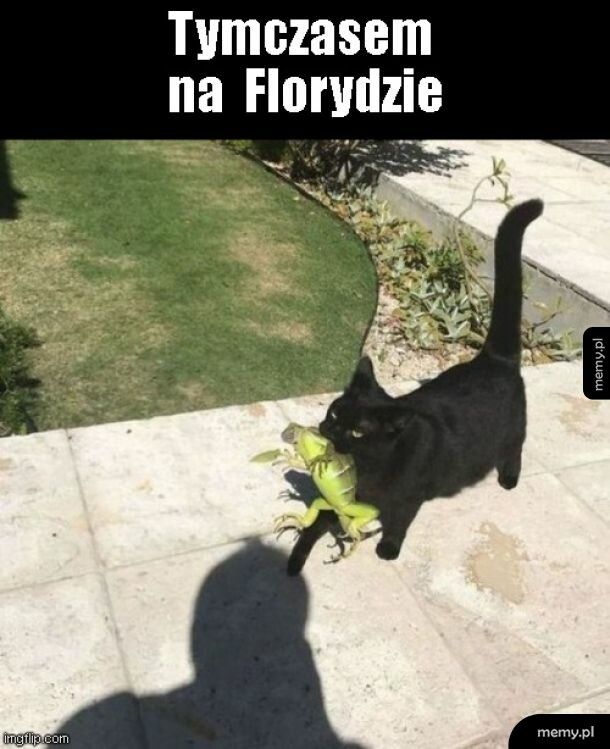 Floryda