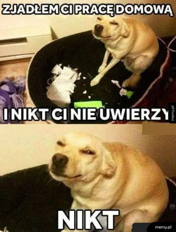 a to maly skurczybyk ....