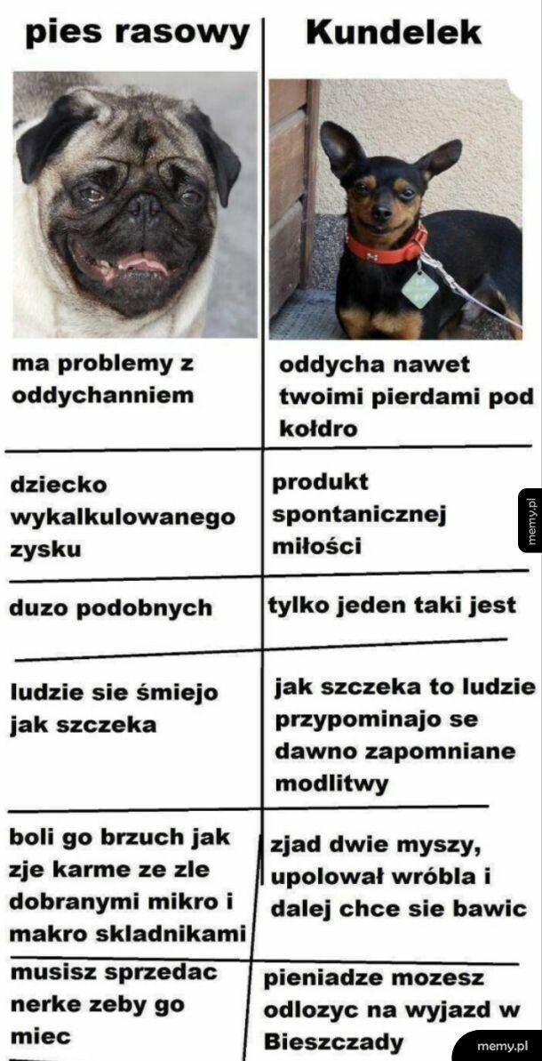Wybór jest prosty