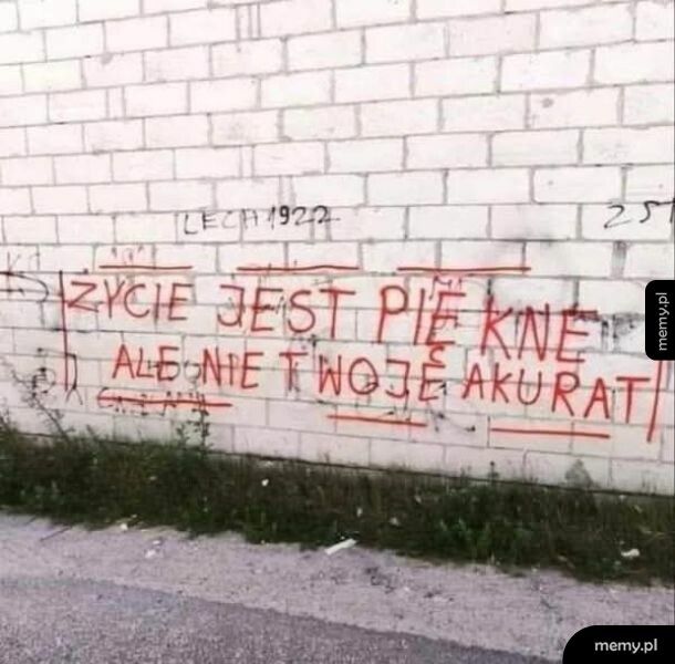 Życie jest jak poczekalnia na kwejku.