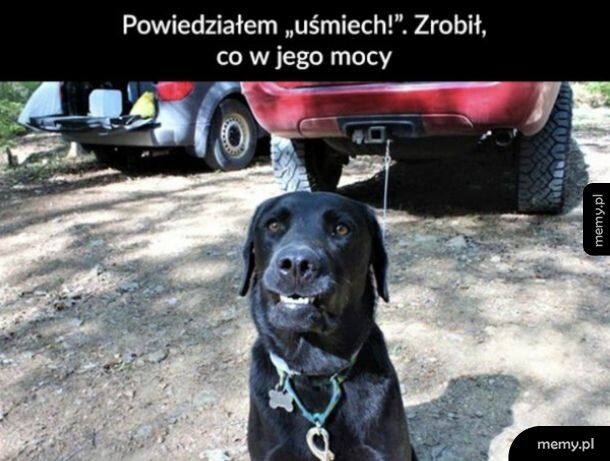 Widać, że się starał