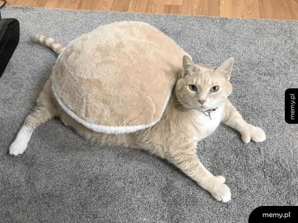 Kolorystycznie na 10