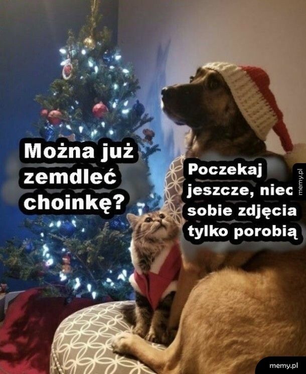 Jeszcze tylko fota