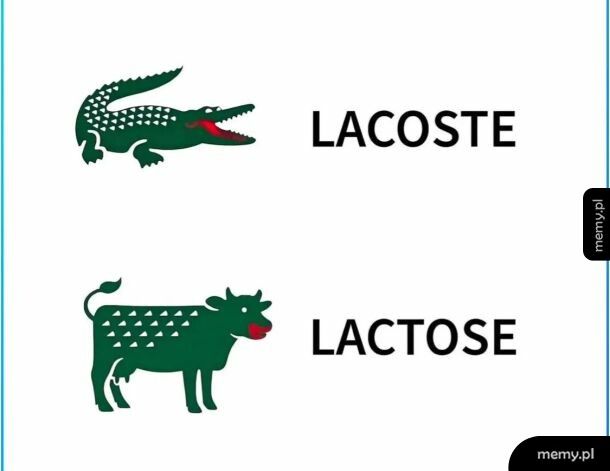 Jak nie widać r&oacute;żnicy to po co przepłacać