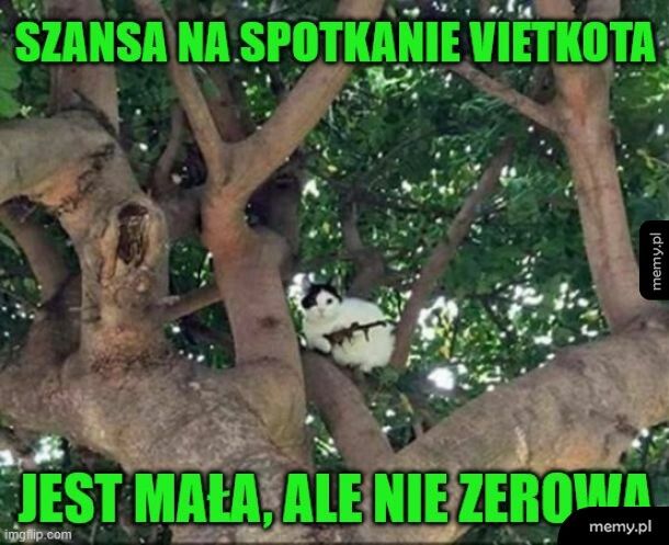 Trzeba mieć pecha