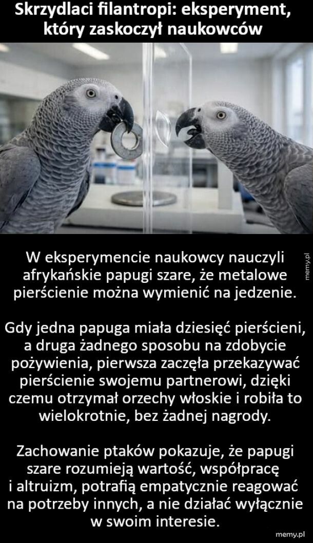 Eksperyment, kt&oacute;ry zaskoczył naukowc&oacute;w
