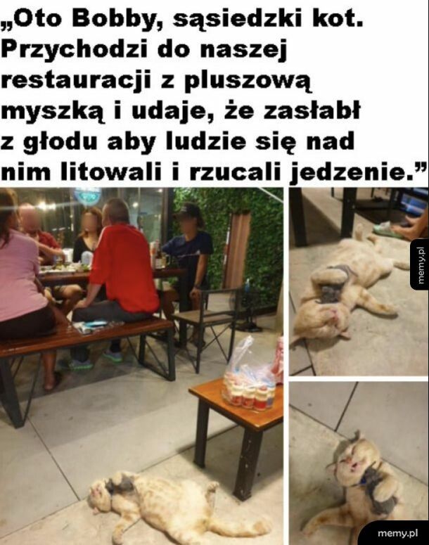Wypracował sobie metodę