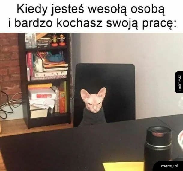 Praca