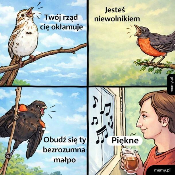 Piękny śpiew ptak&oacute;w