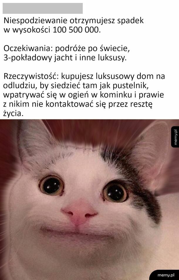 Oczekiwania vs rzeczywistość