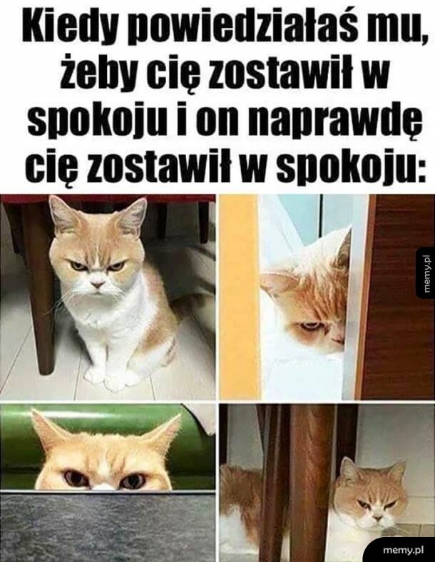 Nie pasuje
