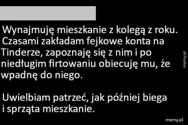 Dobry spos&oacute;b na wsp&oacute;łlokatora brudasa