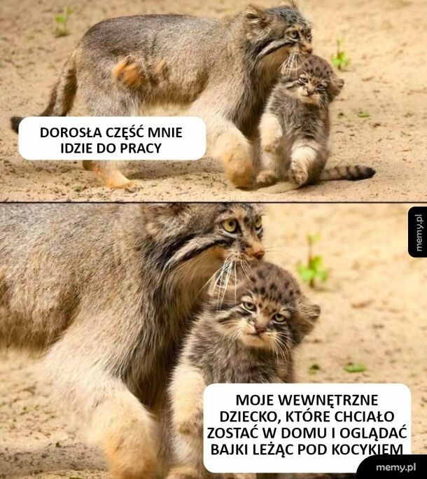 Każdy ma w sobie wewnętrzne dziecko