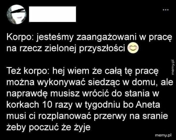 Praca zdalna nie dla polaka