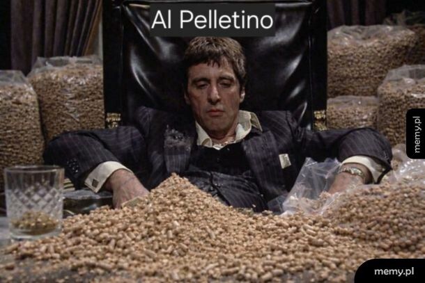 Już wiadomo kto trzyma łapy na pellecie