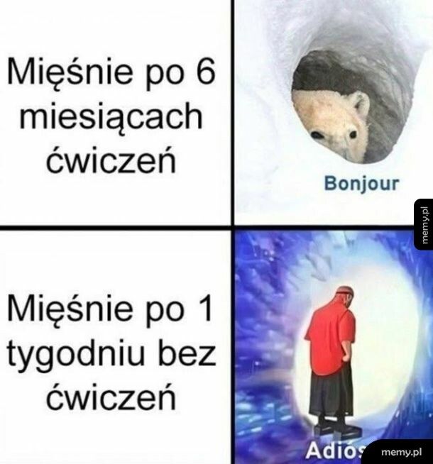 Moje mięsnie