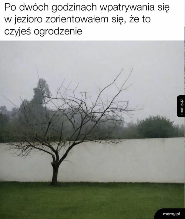 Po jakim czasie zauwazyles?