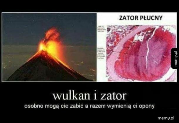 Razem mogą zdziałać dobro