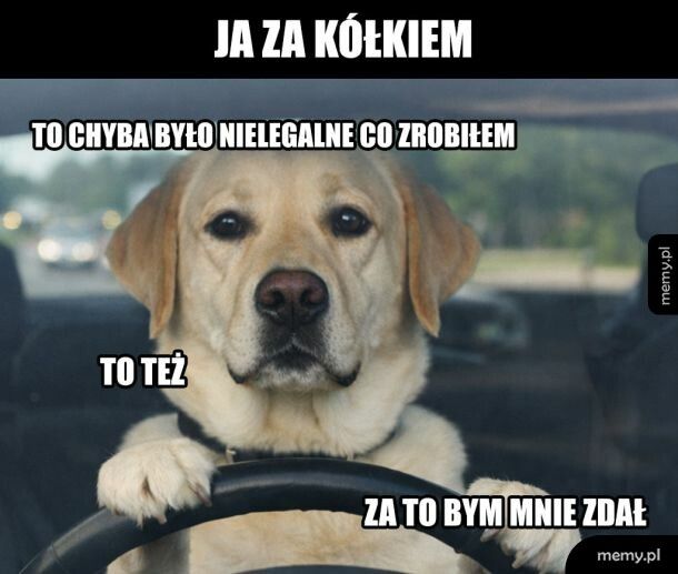 Ważne to zdawać sobie sprawę ze swoich błęd&oacute;w