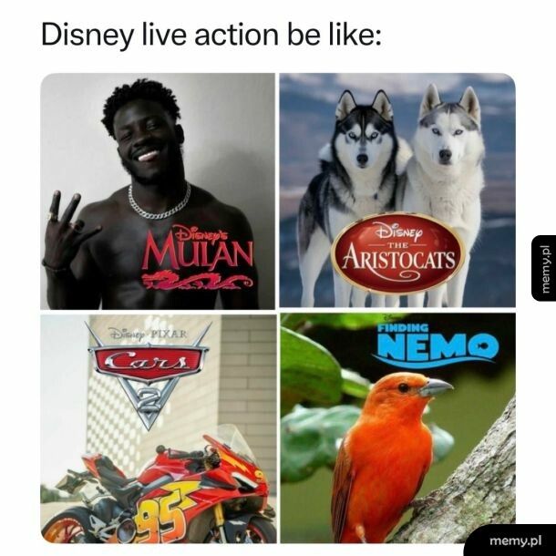 Tak to mniej więcej wygląda