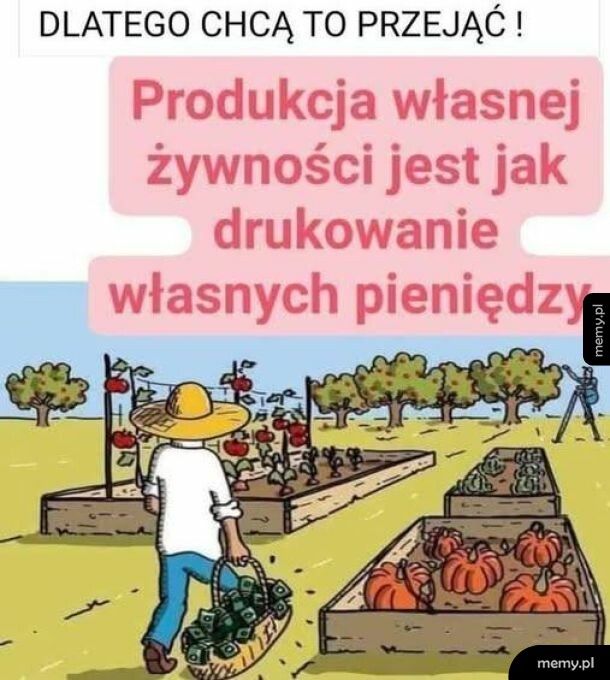 Produkcja własnej żywności