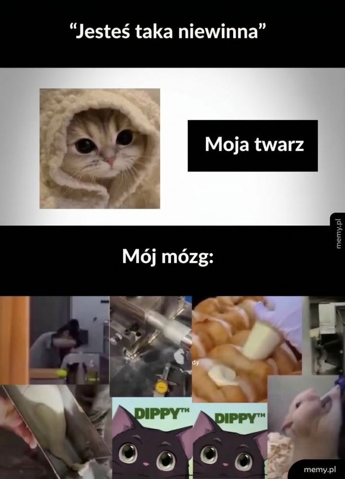 Jesteś taka niewinna