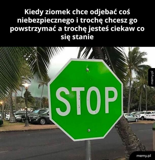 Trochę zabraniam
