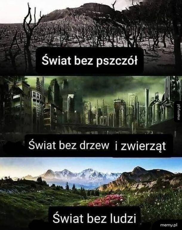 Jesteśmy niezbędni