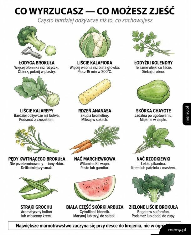 Ciekawostka na dziś