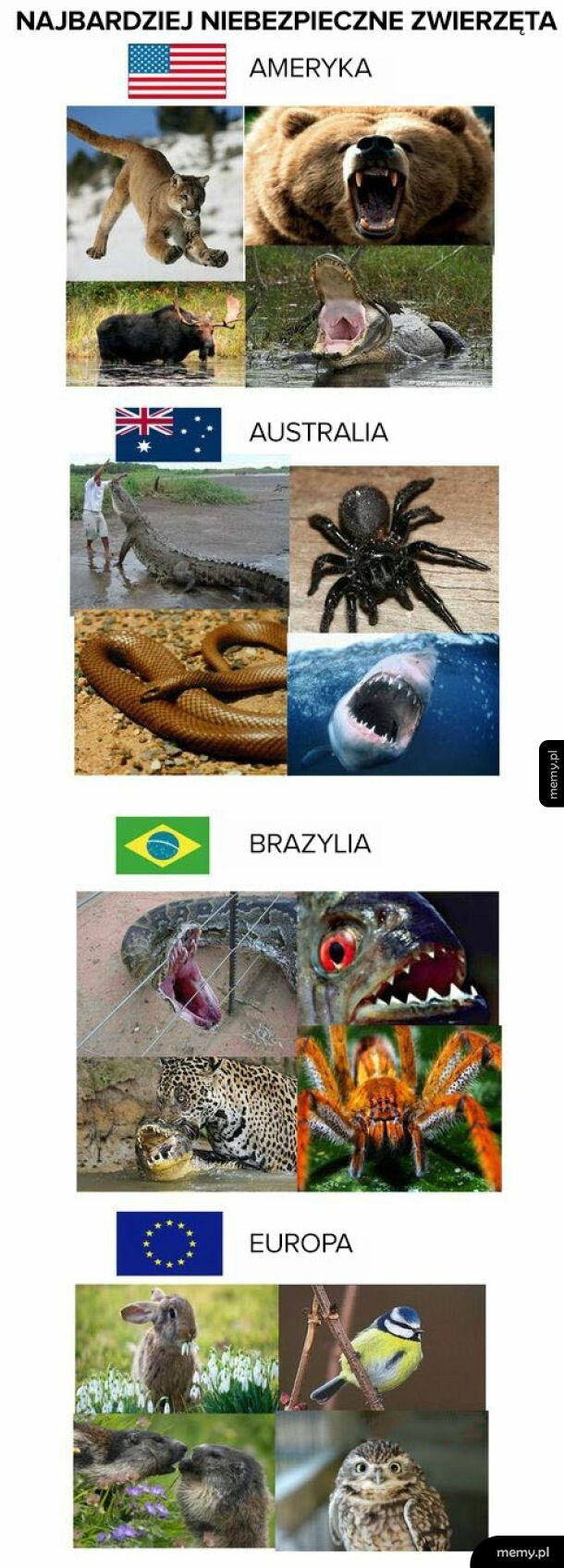 Najlepsze miejsce do życia