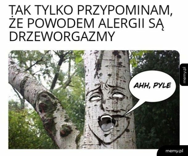 Ciekawostka na dziś