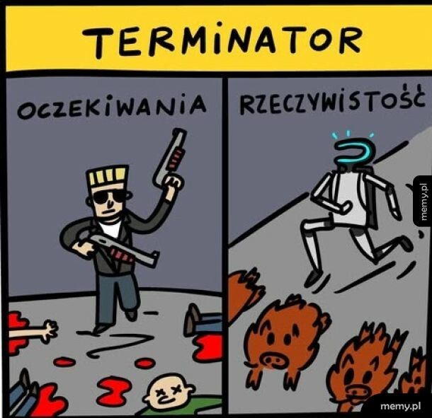Jaki kraj taki terminator