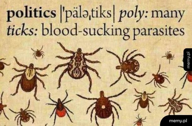 Definicja polityk&oacute;w