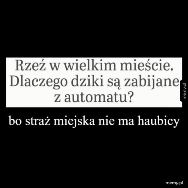 Rzeź w wielkim mieście