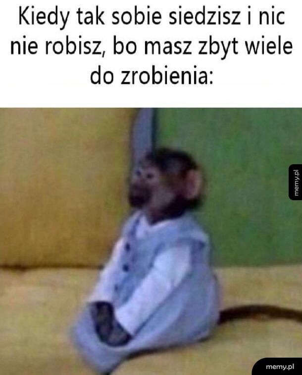 Nawał pracy