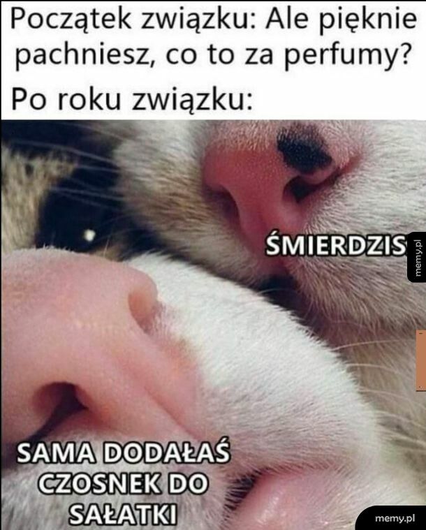 Związek