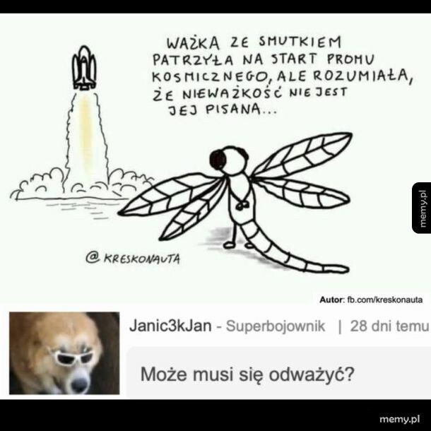 Smutna ważka