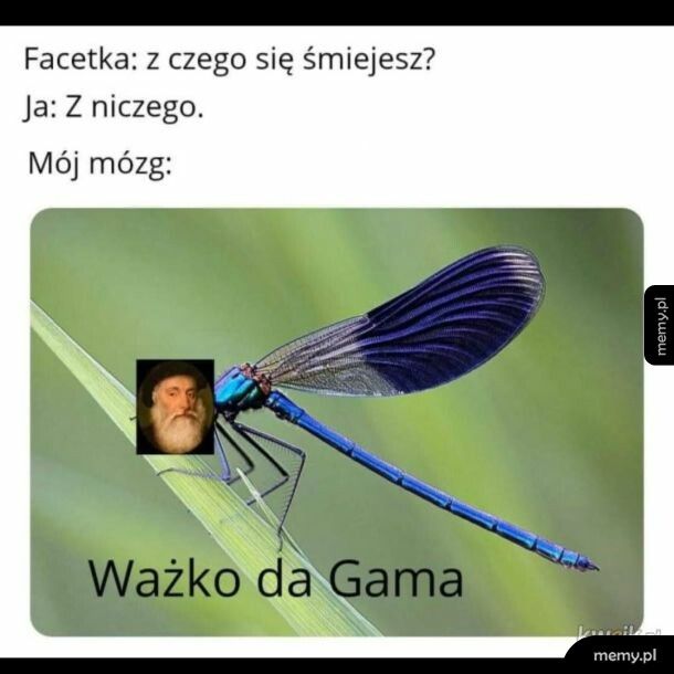 Humor