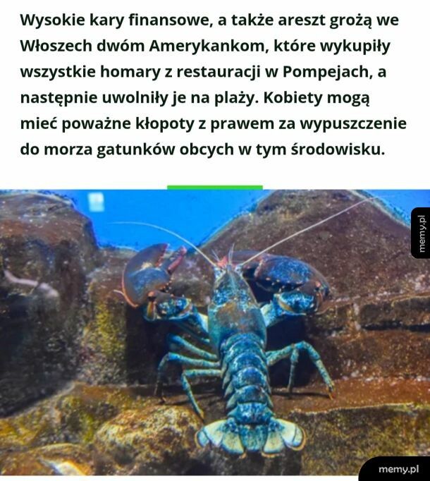 Zapraszamy na serial: "Ekopatologia" odc. 2137