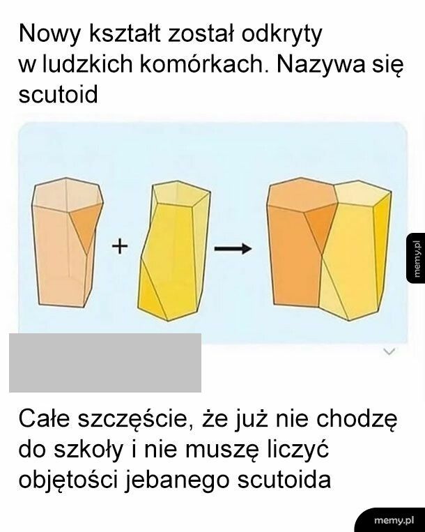 Scutoid