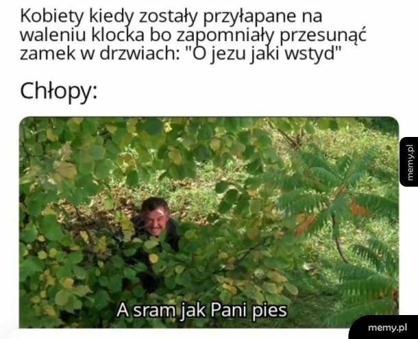 Witam