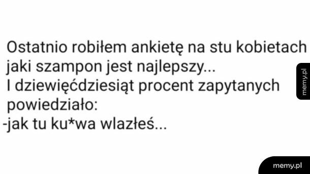 Ankieta
